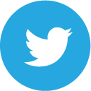 Icon with the Twitter logo